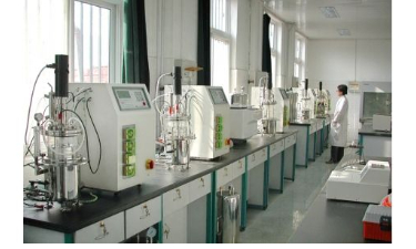 玻璃91视频WWW免费下载