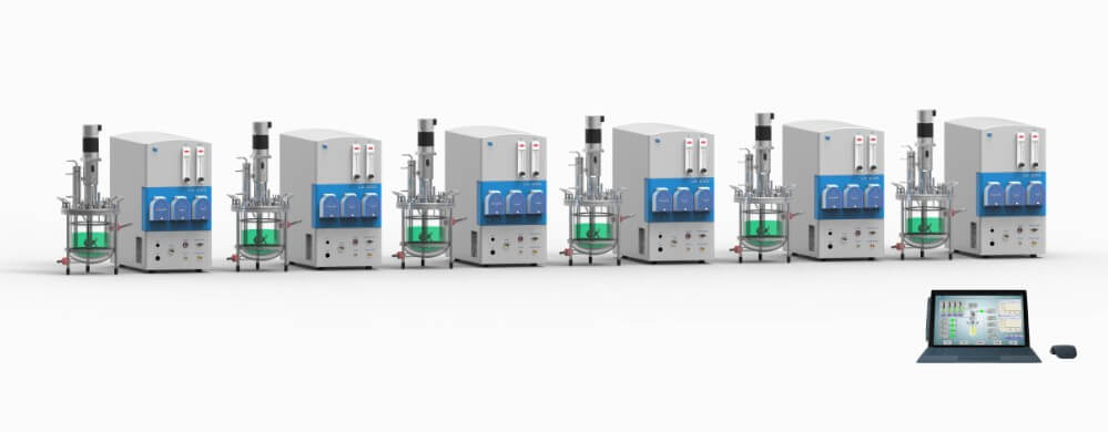 多联玻璃91视频WWW免费下载