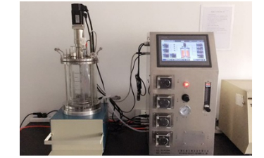 玻璃91视频WWW免费下载