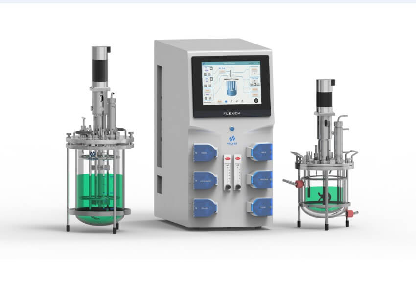 玻璃91视频WWW免费下载