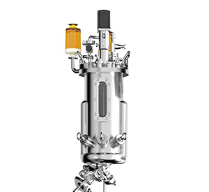 不锈钢91视频WWW免费下载罐体图 不锈钢91视频WWW免费下载罐体图