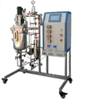 厌氧91视频WWW免费下载