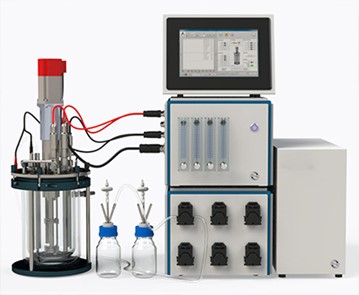 酶91视频污污的视频