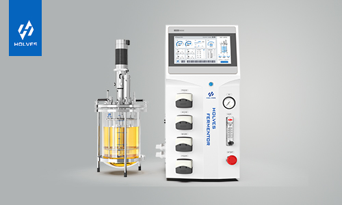 91视频WWW免费下载温度对发酵的不良影响