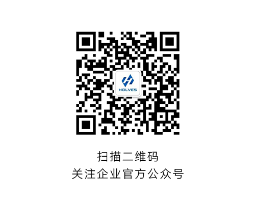 91视频破解版免费下载HOLVES