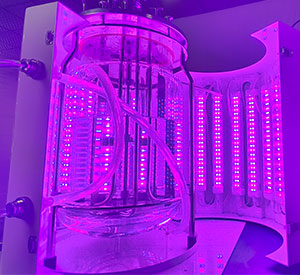 光照91视频污污的视频光照系统 光照91视频污污的视频光照系统