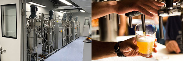 91视频WWW免费下载的应用 91视频WWW免费下载的应用