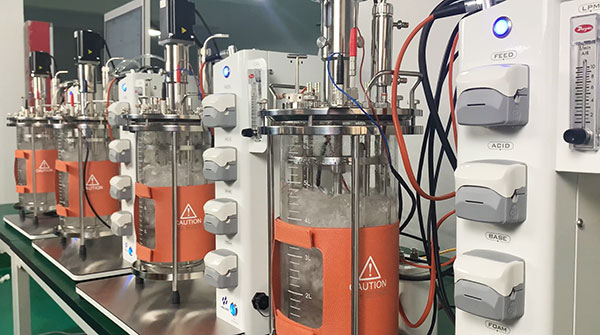 91视频破解版免费下载91视频WWW免费下载