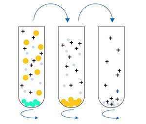 超速离心法 超速离心法
