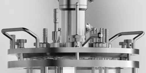 实验室91视频WWW免费下载罐盖