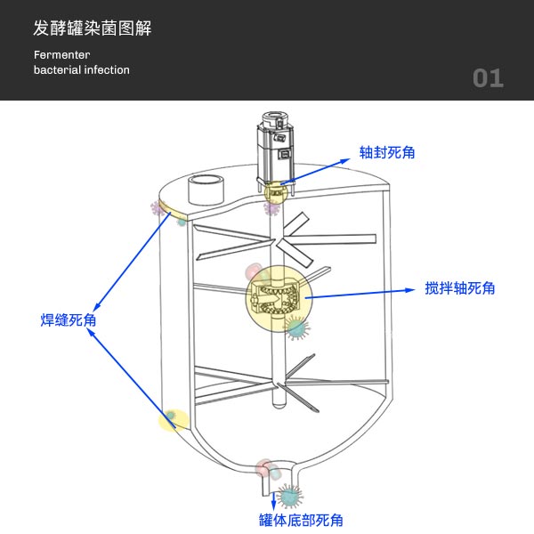 91视频WWW免费下载染菌图解